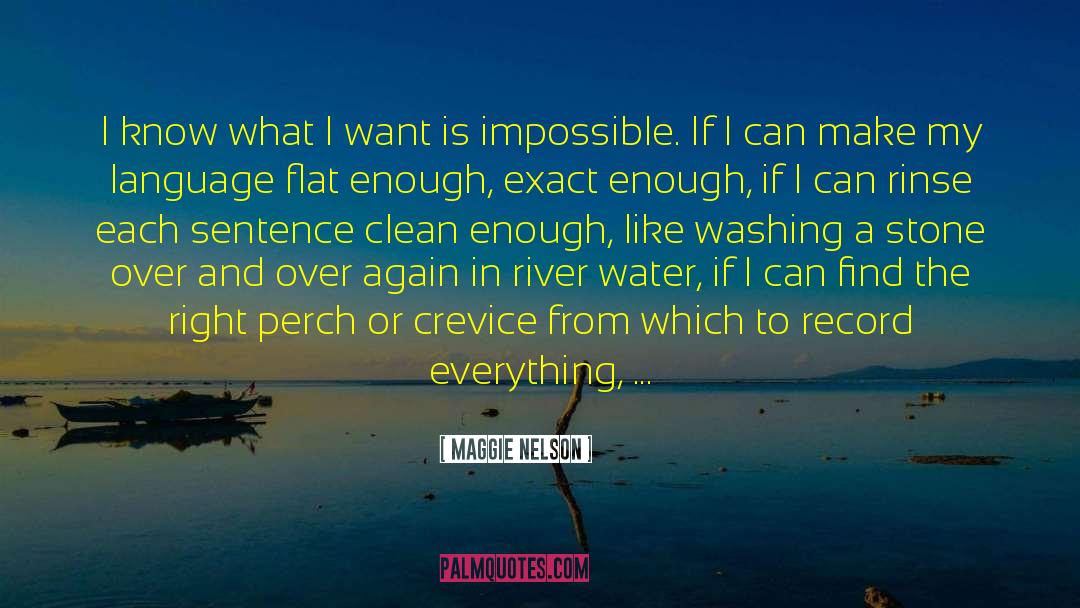 I Want To Disappear Sad quotes by Maggie Nelson