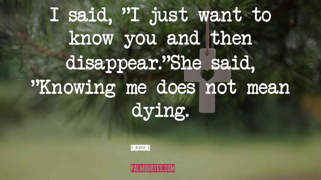 I Want To Disappear Sad quotes by Rumi