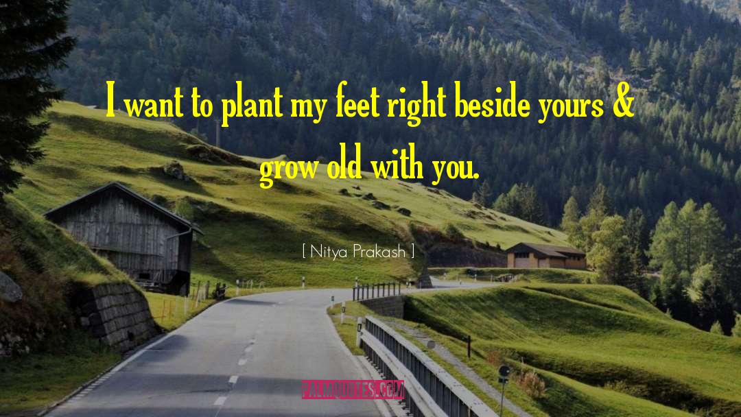 I Want You Beside Me quotes by Nitya Prakash