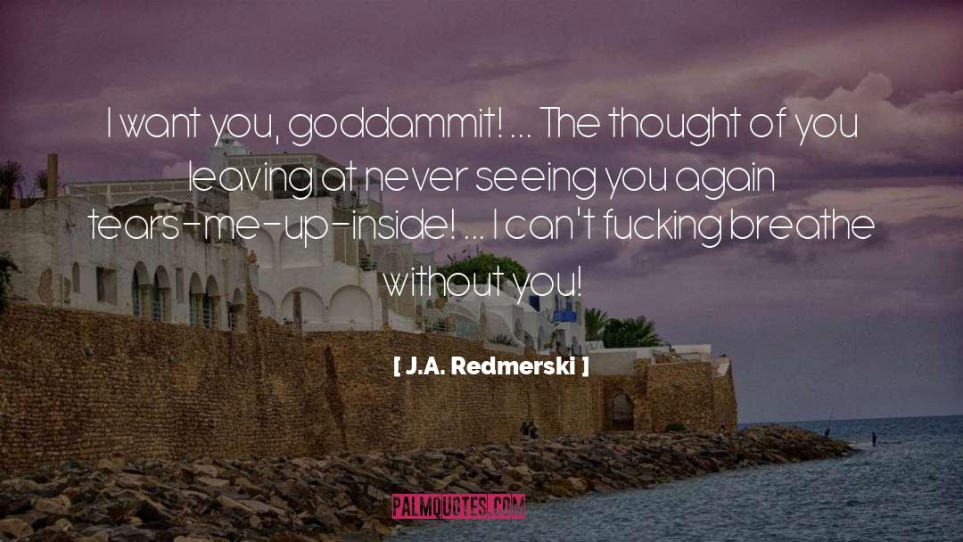 I Want You quotes by J.A. Redmerski