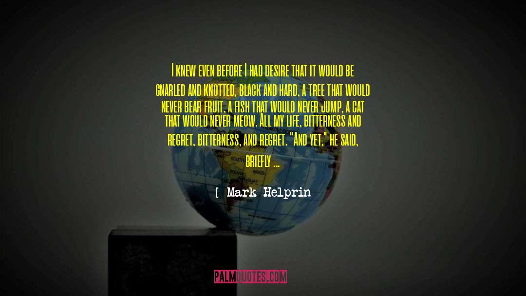 I Was Hurt quotes by Mark Helprin