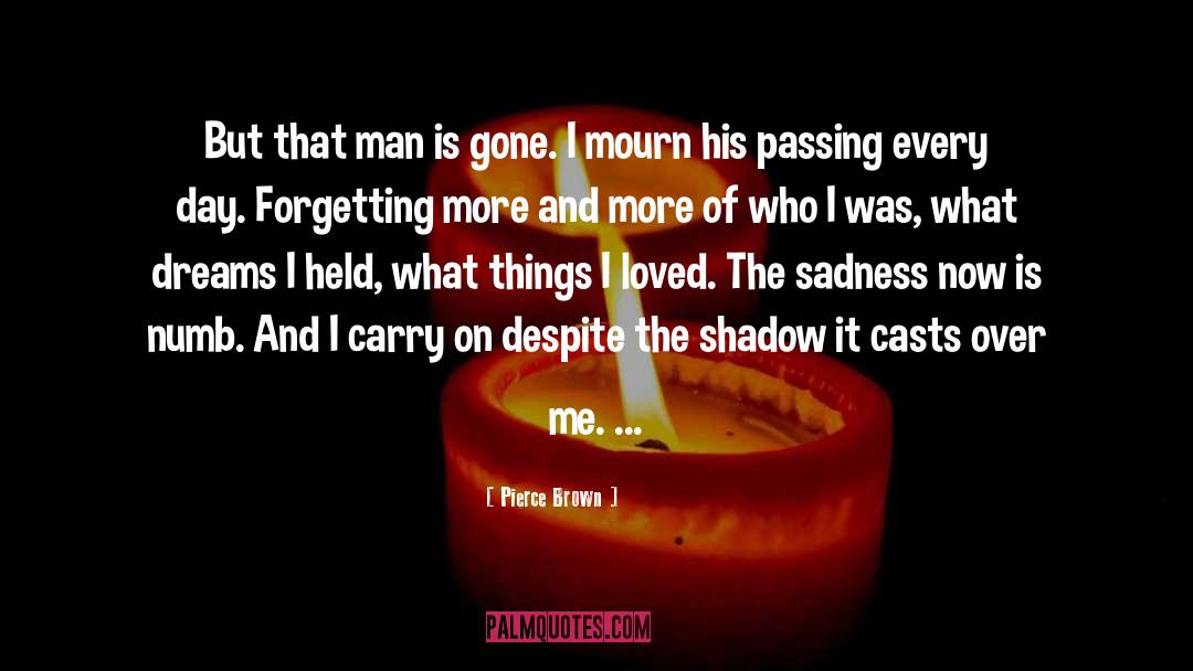 I Was Hurt quotes by Pierce Brown