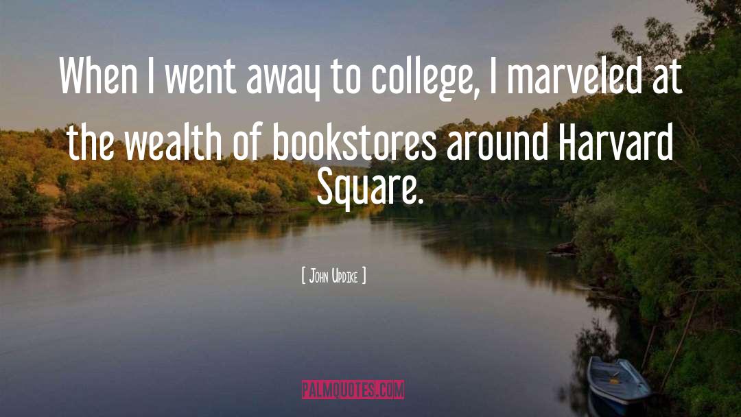 I Went Away quotes by John Updike
