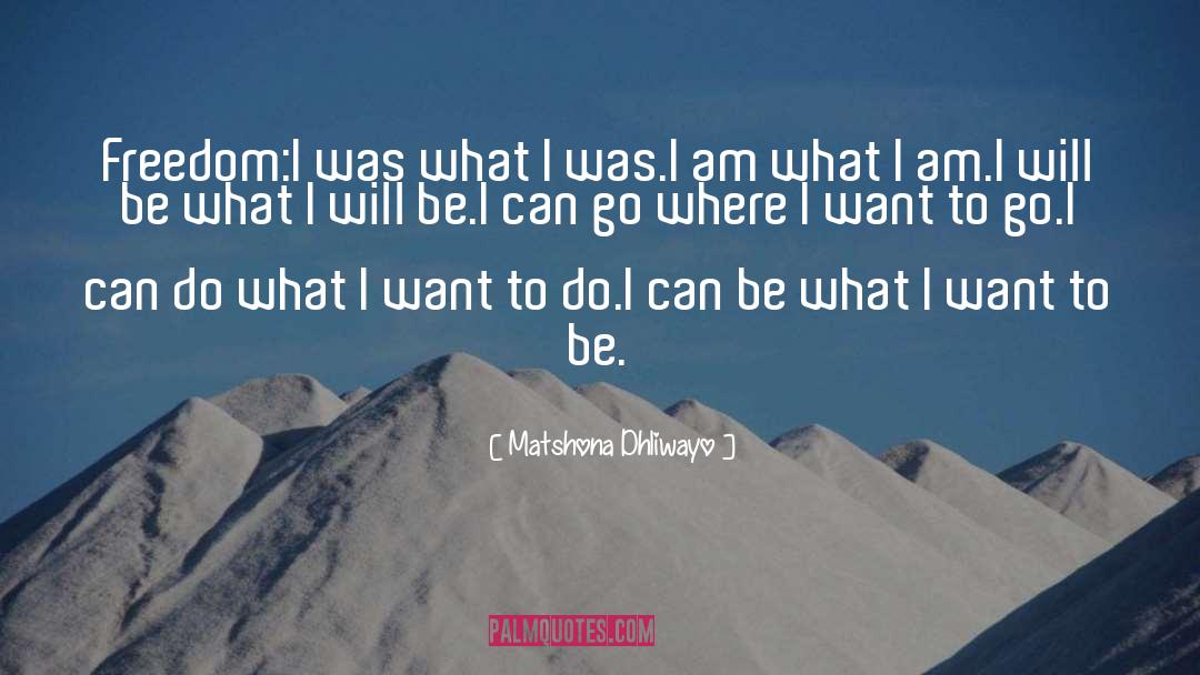 I Will Be quotes by Matshona Dhliwayo