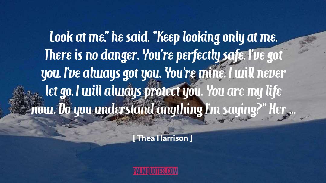 I Will Keep Smiling quotes by Thea Harrison