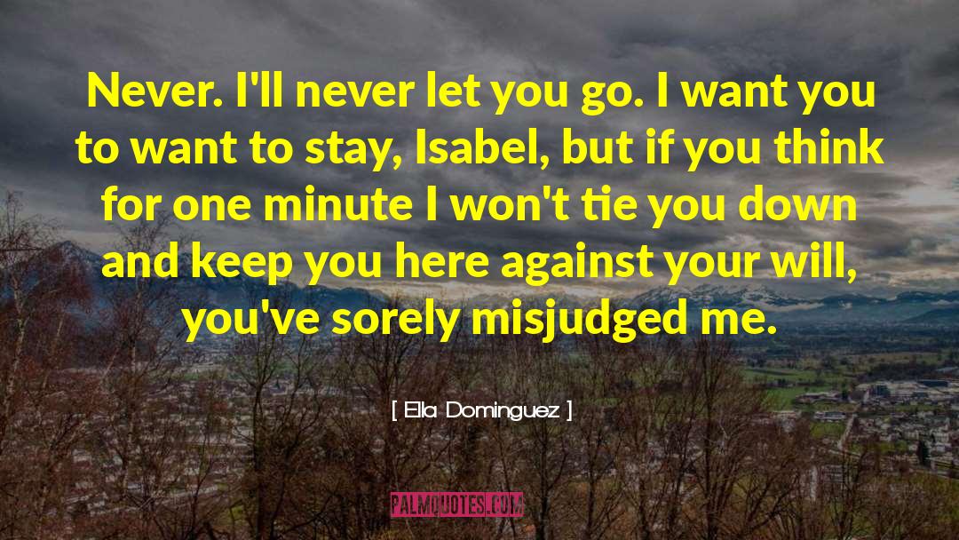 I Will Never Let You Down quotes by Ella Dominguez
