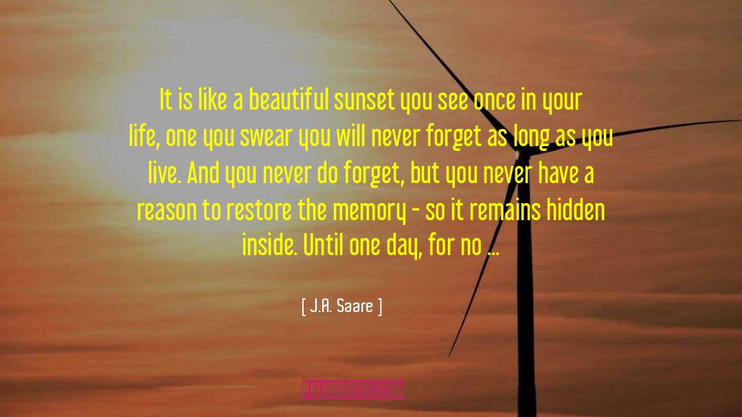 I Will Remember You quotes by J.A. Saare
