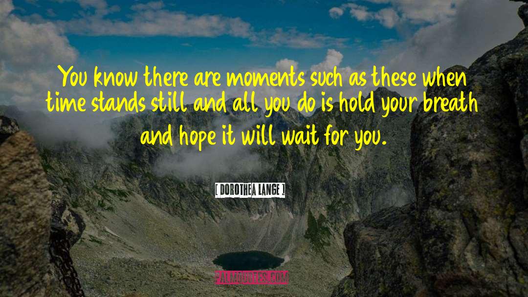 I Will Wait For You quotes by Dorothea Lange