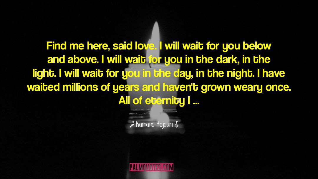 I Will Wait For You quotes by Kamand Kojouri