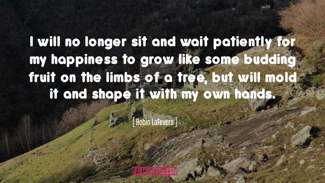 I Will Wait For You quotes by Robin LaFevers