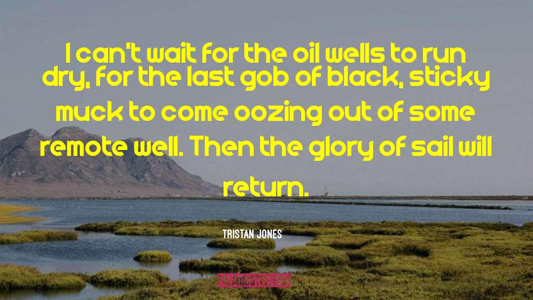 I Will Wait For You quotes by Tristan Jones