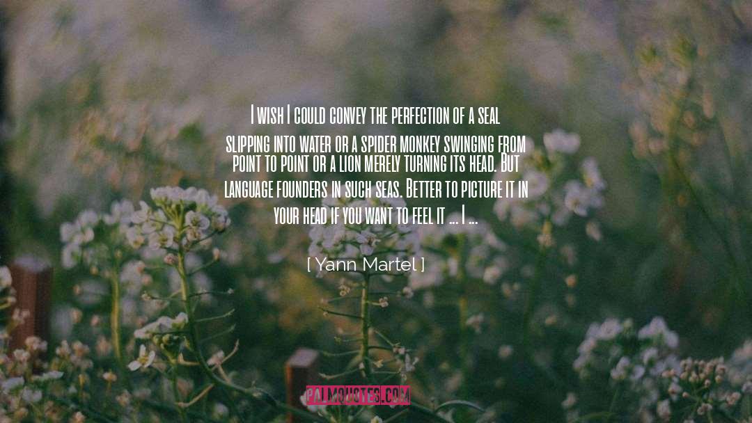 I Wish You Understood quotes by Yann Martel