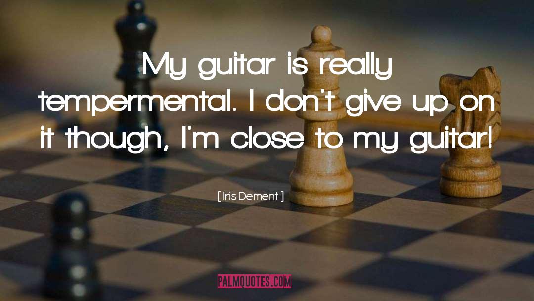 I Won 27t Give Up quotes by Iris Dement