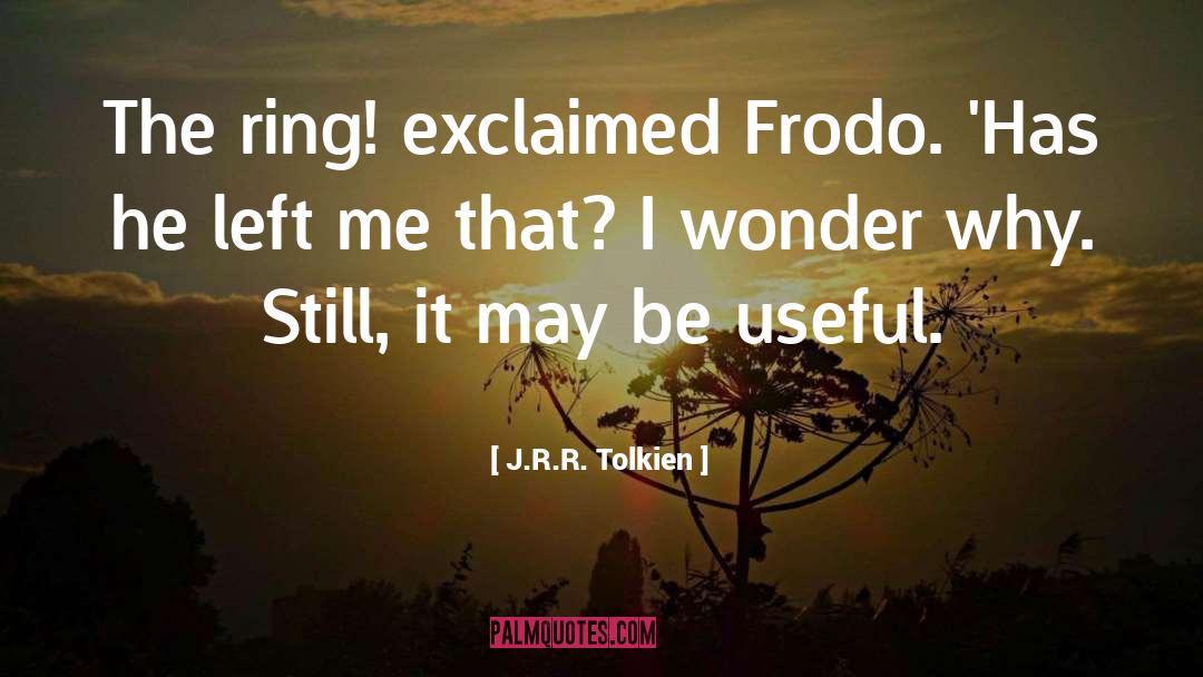 I Wonder quotes by J.R.R. Tolkien