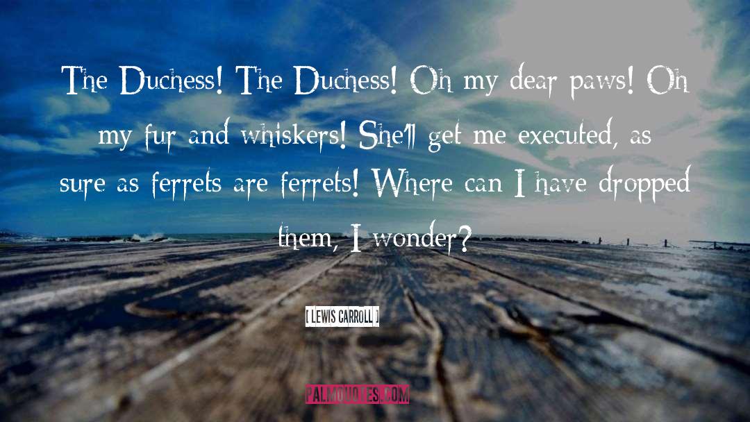 I Wonder quotes by Lewis Carroll