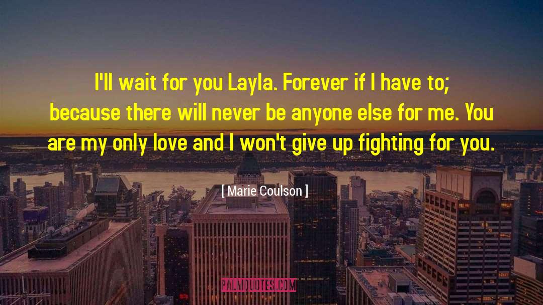 I Wont Give Up quotes by Marie Coulson