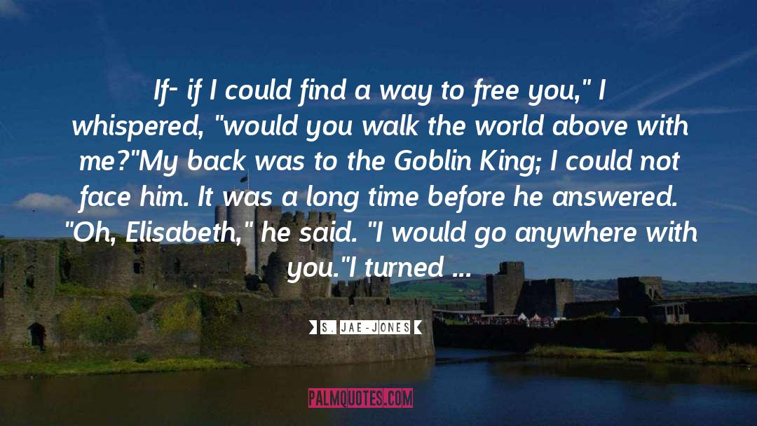 I Would Go Anywhere With You quotes by S. Jae-Jones