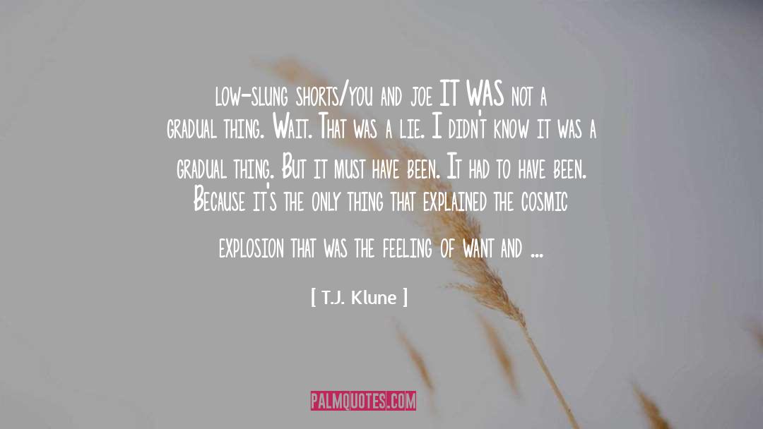 I Wouldn T Lie Down quotes by T.J. Klune