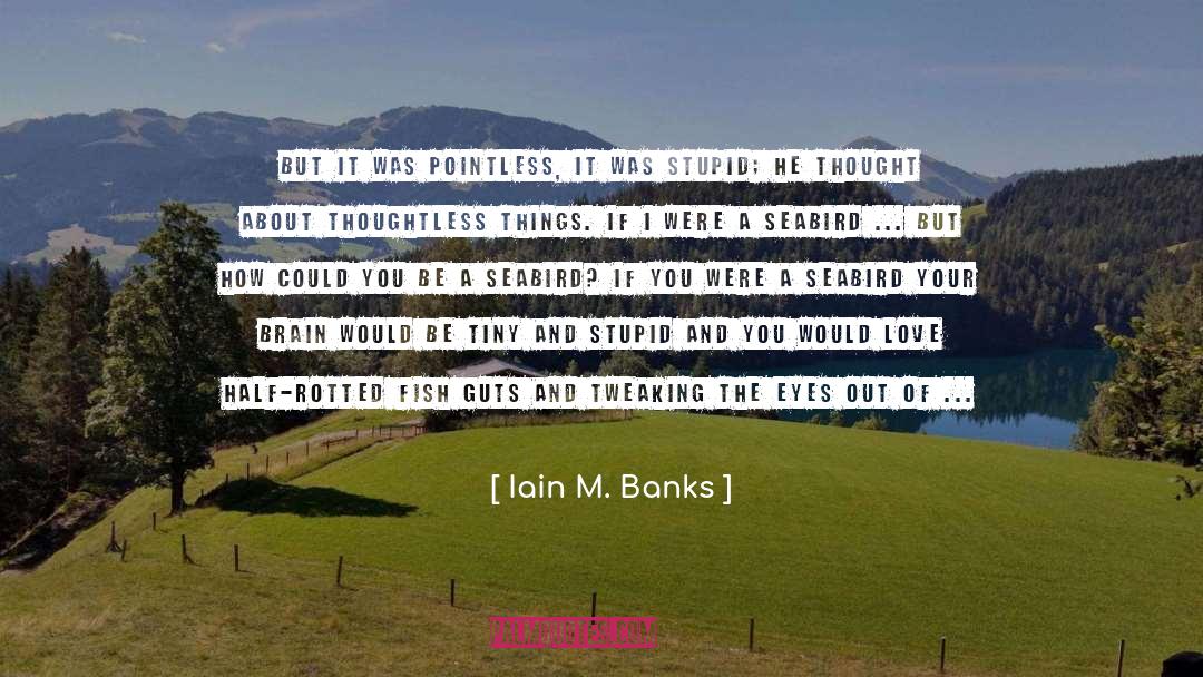 Iain M Banks quotes by Iain M. Banks