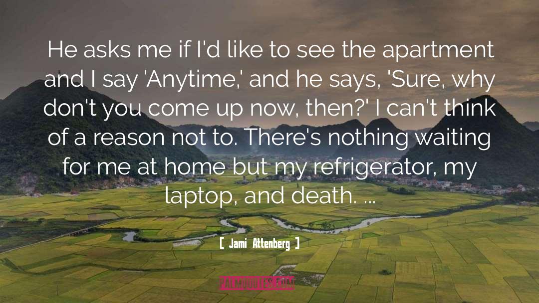 Iaitu Laptop quotes by Jami Attenberg