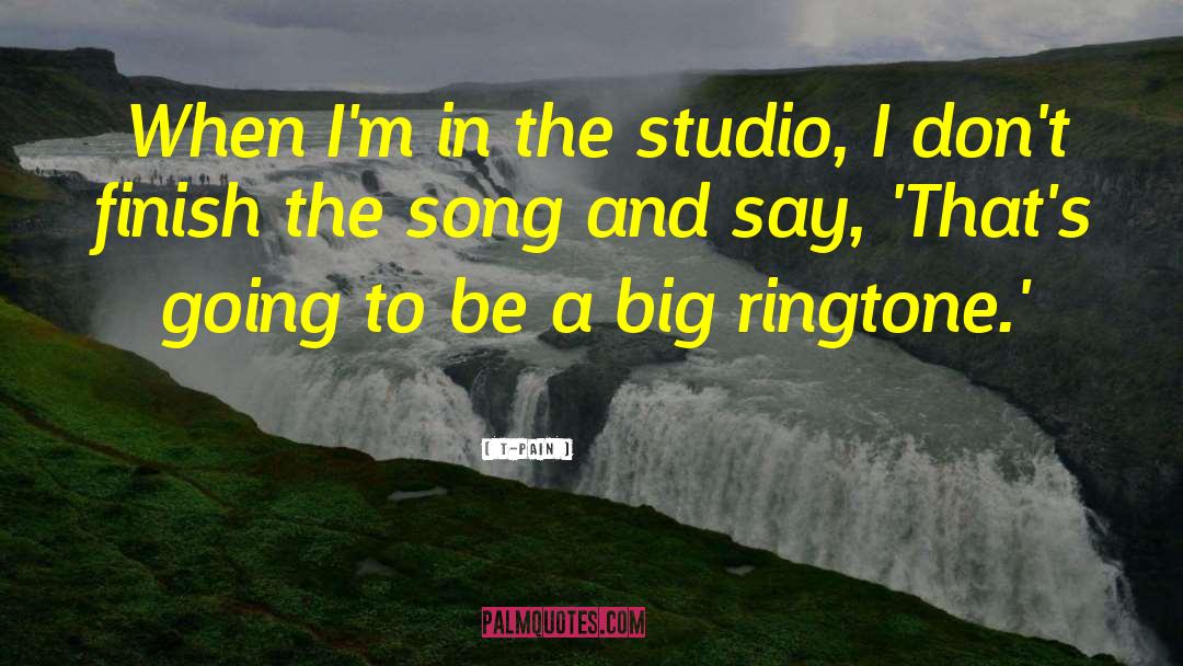 Iannuzzi Studio quotes by T-Pain