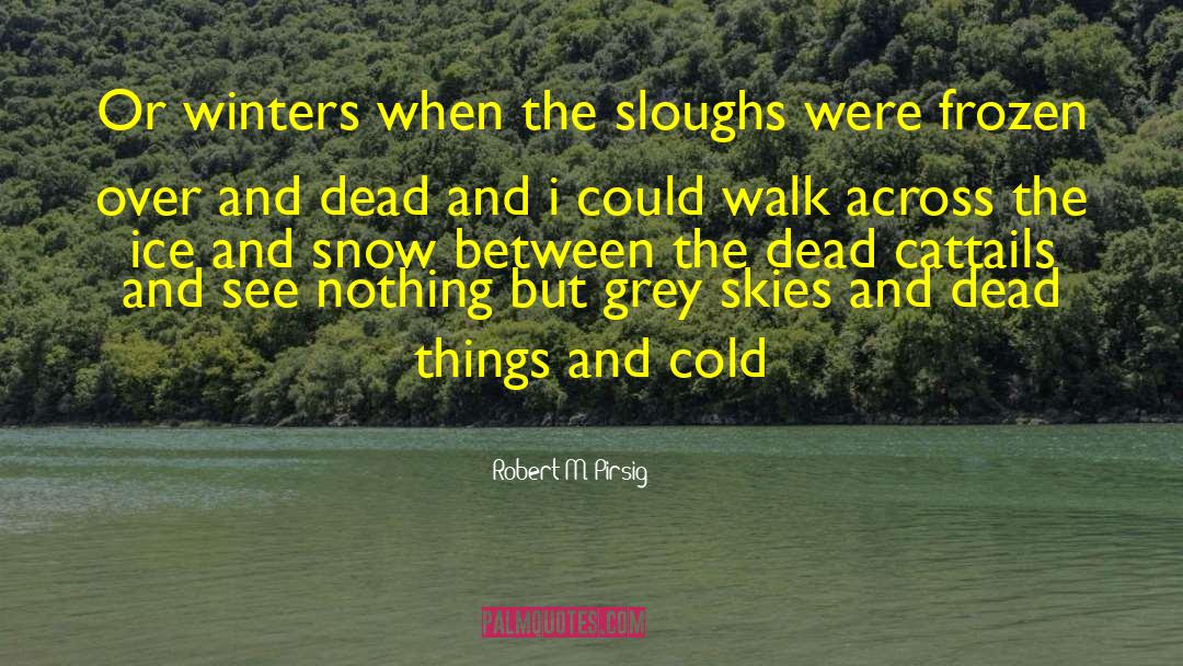 Ice And Snow quotes by Robert M. Pirsig