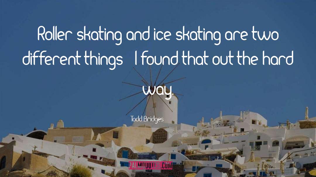 Ice Hockey quotes by Todd Bridges