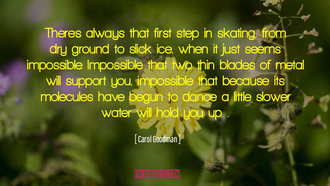 Ice Skating quotes by Carol Goodman