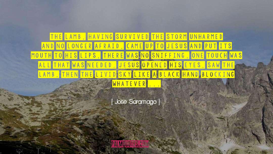 Ice Storm quotes by Jose Saramago