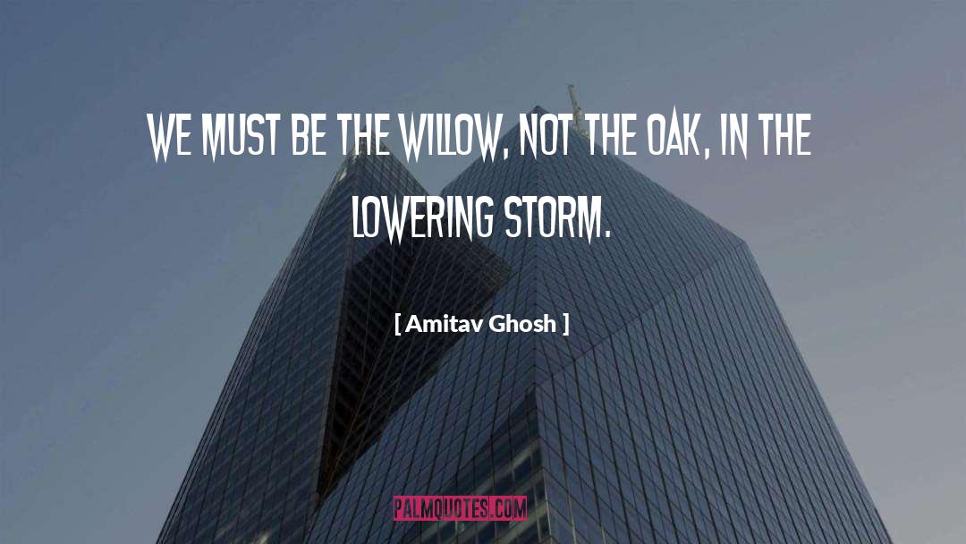 Ice Storm quotes by Amitav Ghosh