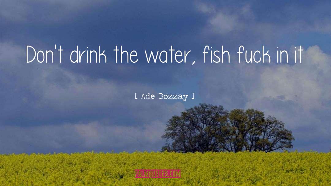 Ice Water quotes by Ade Bozzay