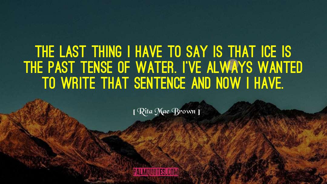 Ice Water quotes by Rita Mae Brown