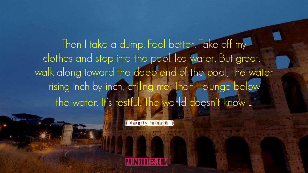 Ice Water quotes by Charles Bukowski