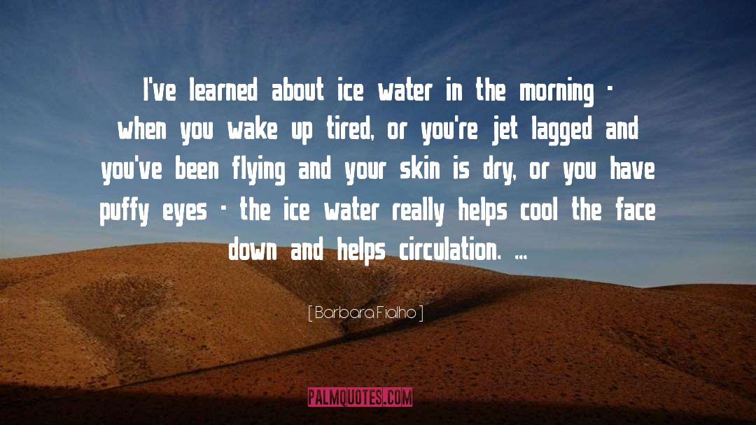 Ice Water quotes by Barbara Fialho