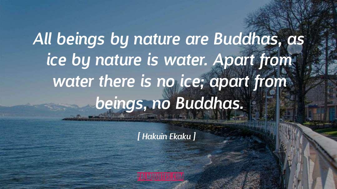Ice Water quotes by Hakuin Ekaku