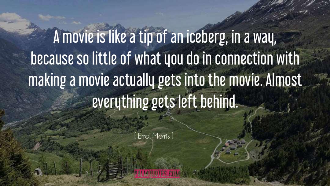 Iceberg quotes by Errol Morris