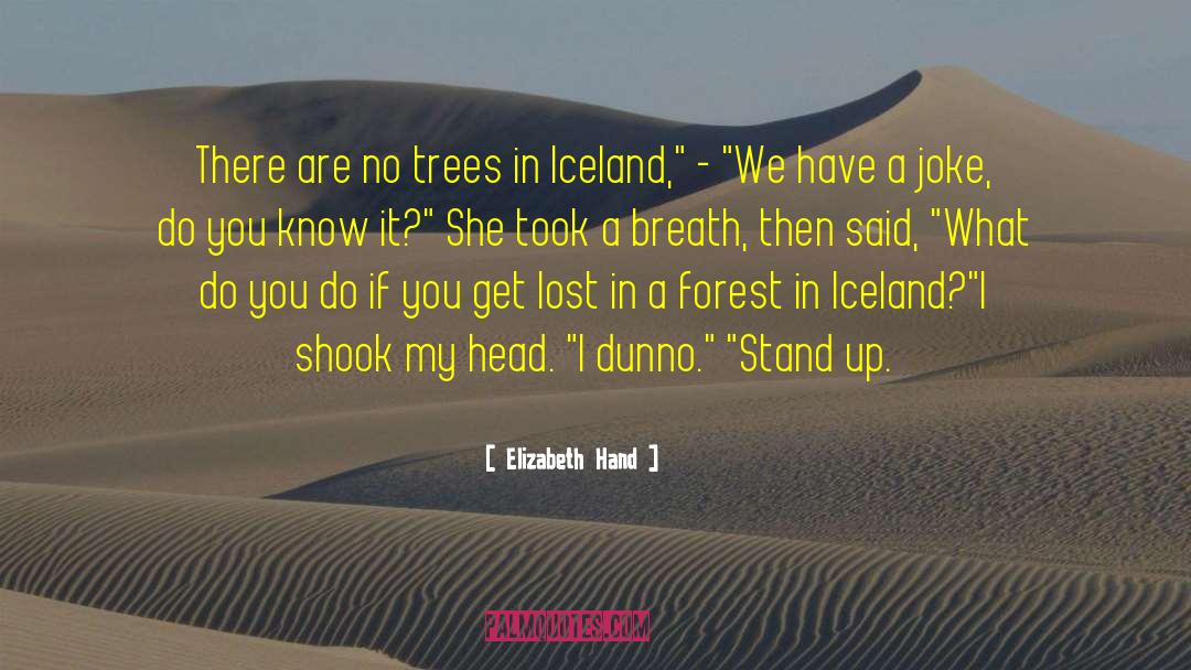 Iceland quotes by Elizabeth Hand