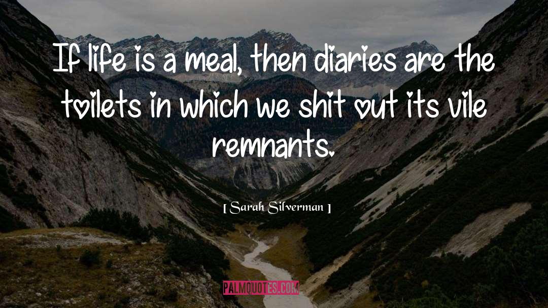 Icera Toilets quotes by Sarah Silverman