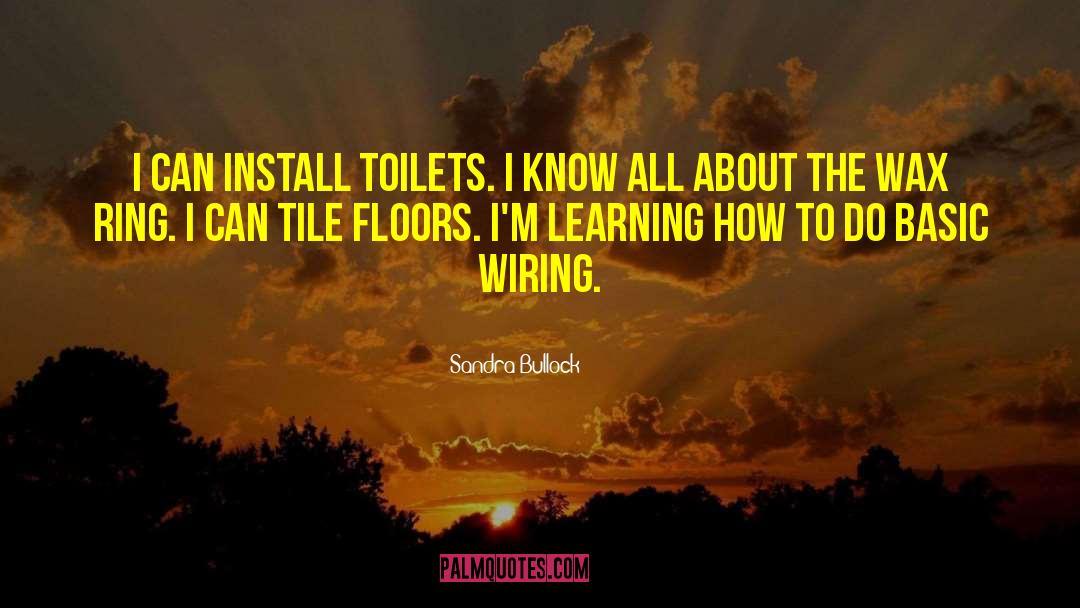 Icera Toilets quotes by Sandra Bullock