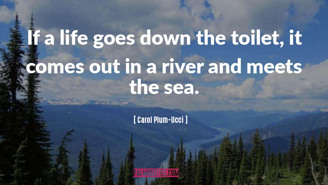 Icera Toilets quotes by Carol Plum-Ucci