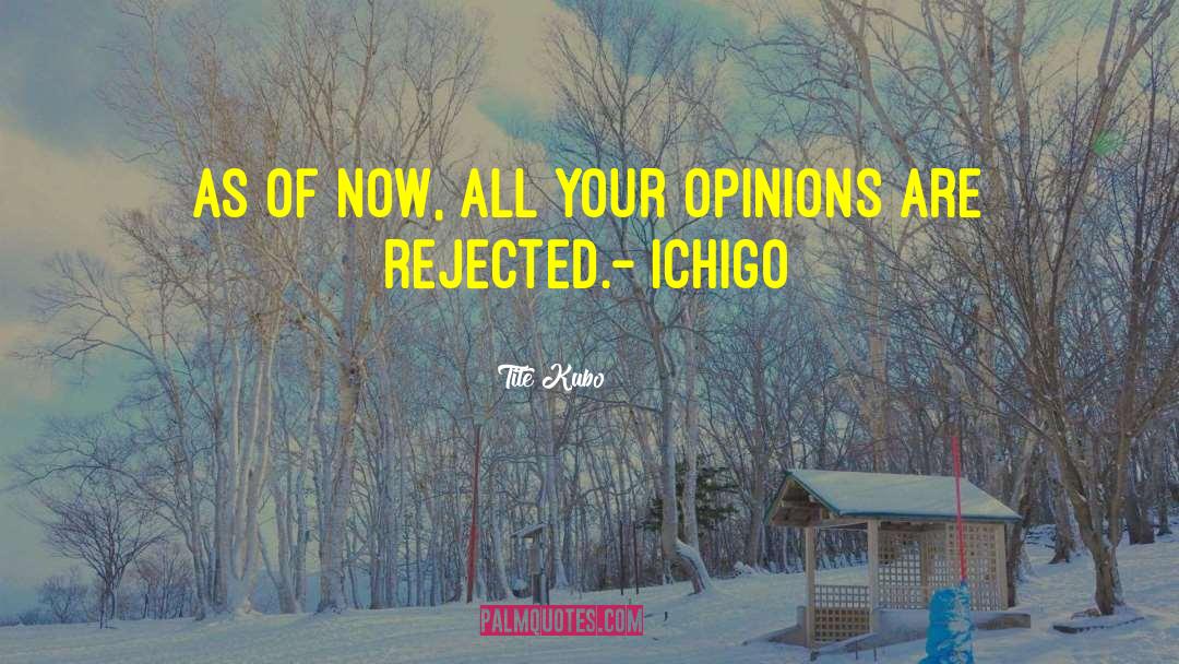 Ichigo quotes by Tite Kubo