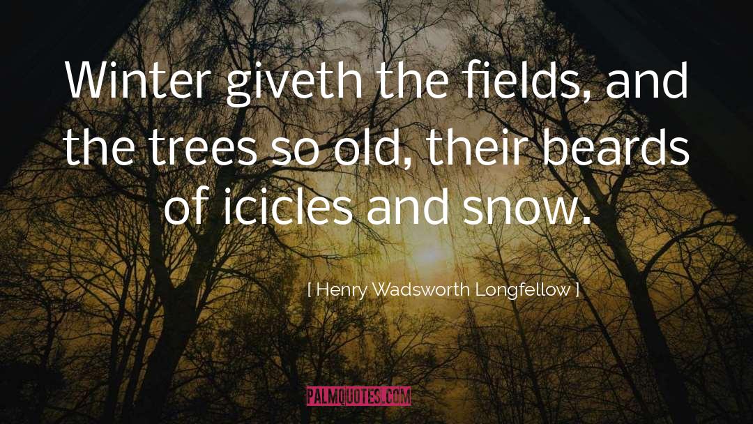 Icicles quotes by Henry Wadsworth Longfellow