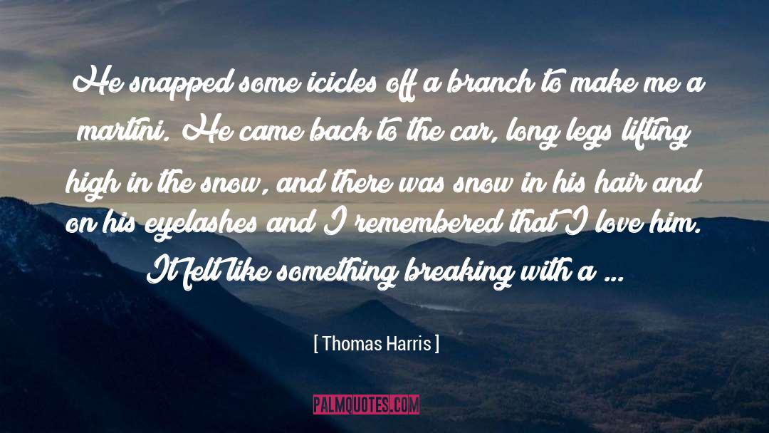 Icicles quotes by Thomas Harris