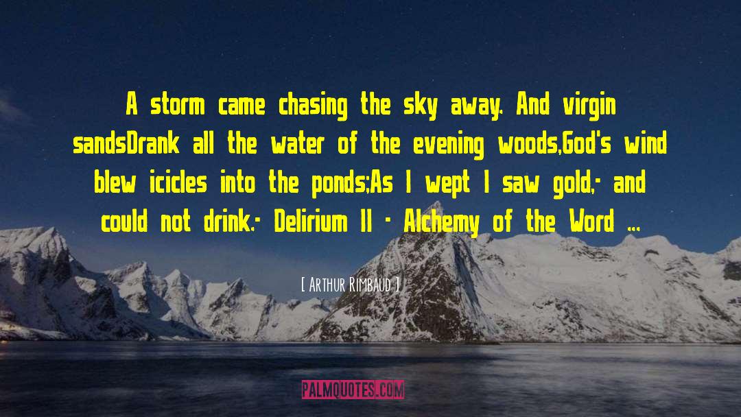 Icicles quotes by Arthur Rimbaud