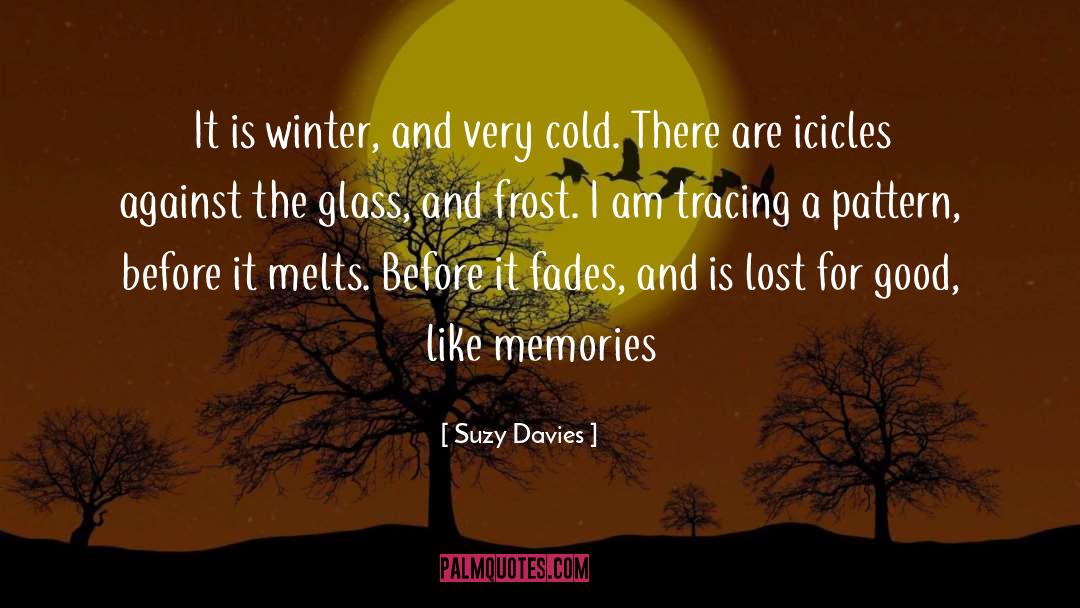 Icicles quotes by Suzy Davies