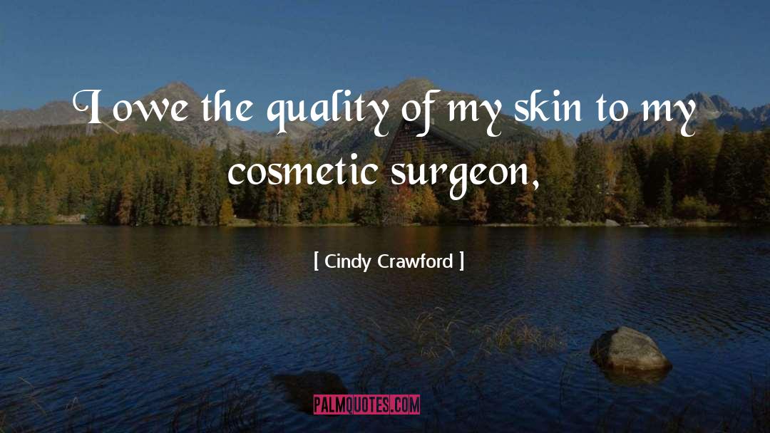 Icier Cosmetics quotes by Cindy Crawford
