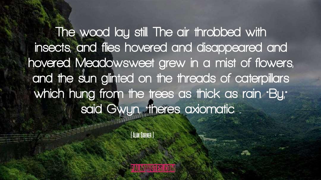Ico Yorda Castle In The Mist quotes by Alan Garner