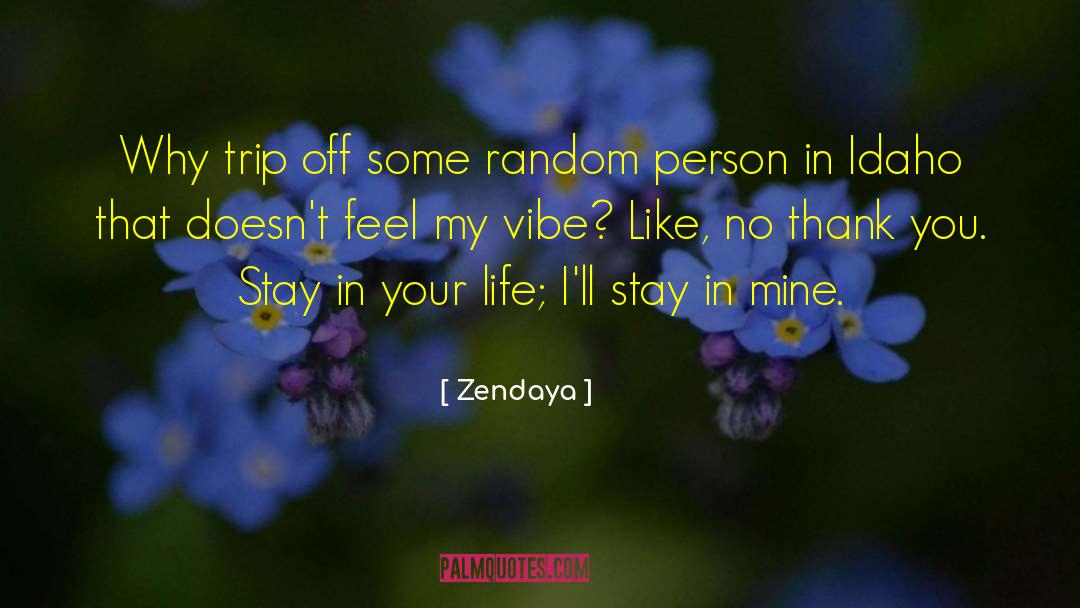 Idaho quotes by Zendaya