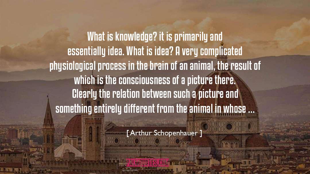 Ideal Real quotes by Arthur Schopenhauer