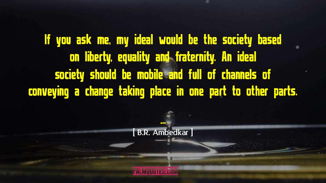 Ideal Society quotes by B.R. Ambedkar